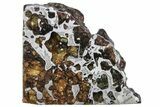 Seymchan Pallasite Meteorite Slice ( g) - Russia #305578-1